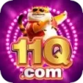 11q - Casino Premium